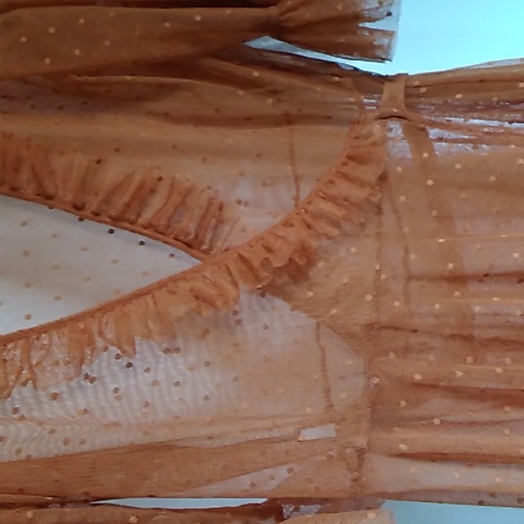 Wax Poetic Isabell Dot Mesh Dress SOLD OUT - Picture 6 of 10